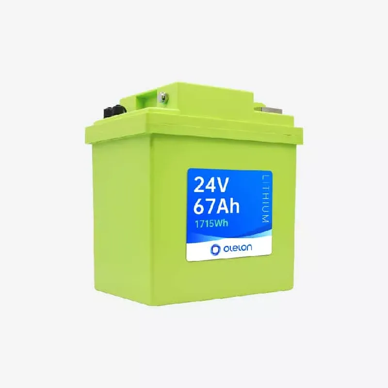 Αρθρωτή μπαταρία LiFePO4 24V 67Ah
